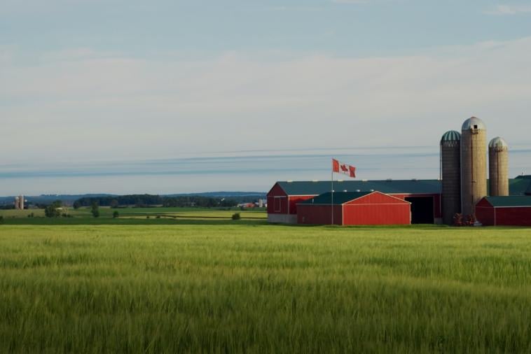 Au Canada, c'est comme ça